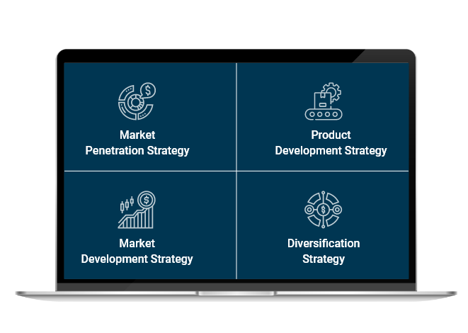 Strategic Opportunity Assessment